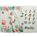 Baby Milestone Blankets - BabyBloomPlace