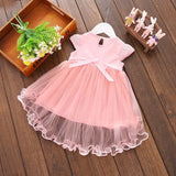 Princess Floral Tutu Mesh Dress - BabyBloomPlace